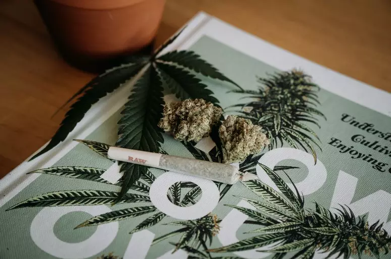 Leia mais sobre o artigo Alemanha legaliza maconha para uso recreativo